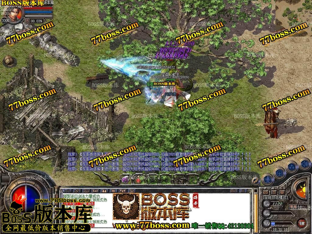 39.jpg