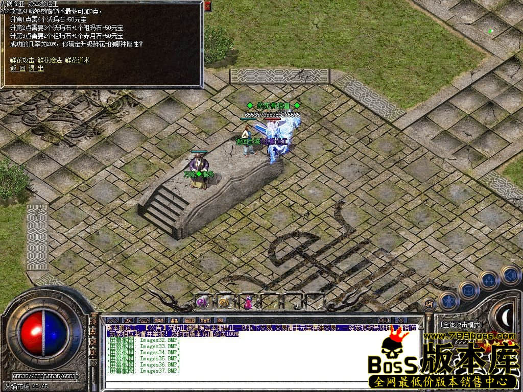 47.jpg
