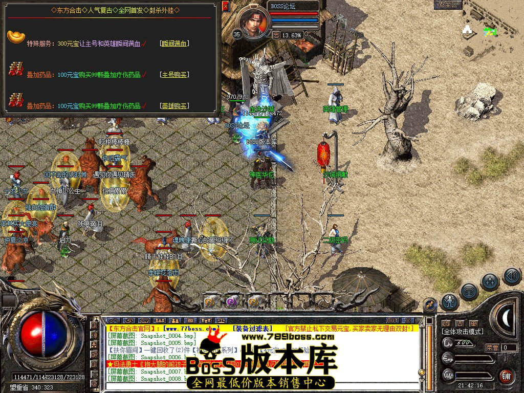Snapshot_0009.jpg