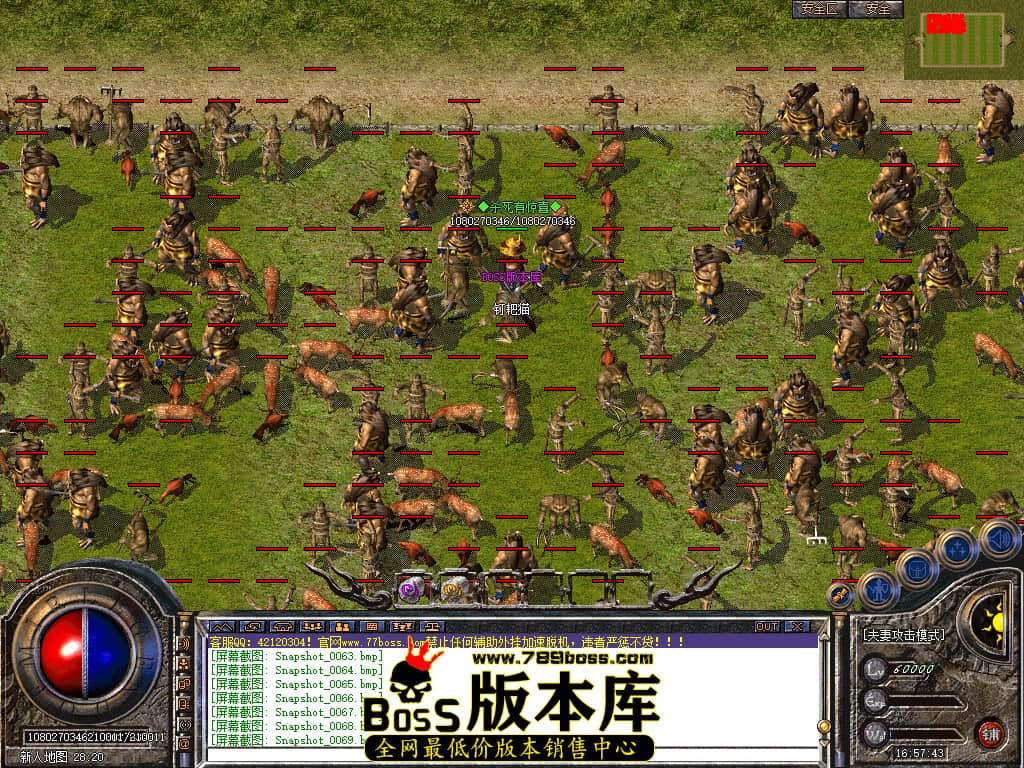 Snapshot_0070.jpg