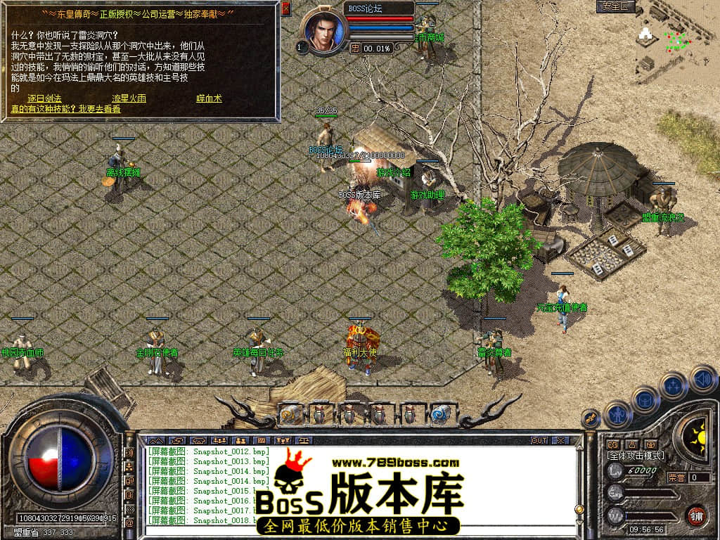Snapshot_0019.jpg