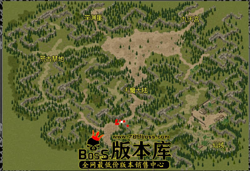 X5.jpg