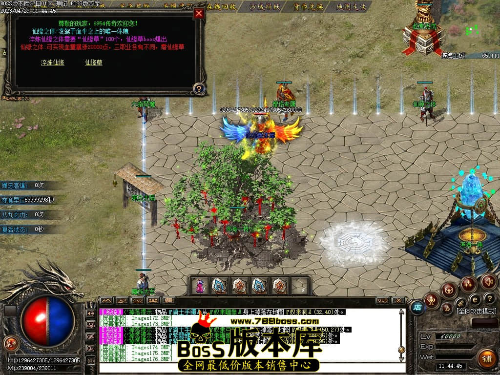 Images177压缩后.JPG