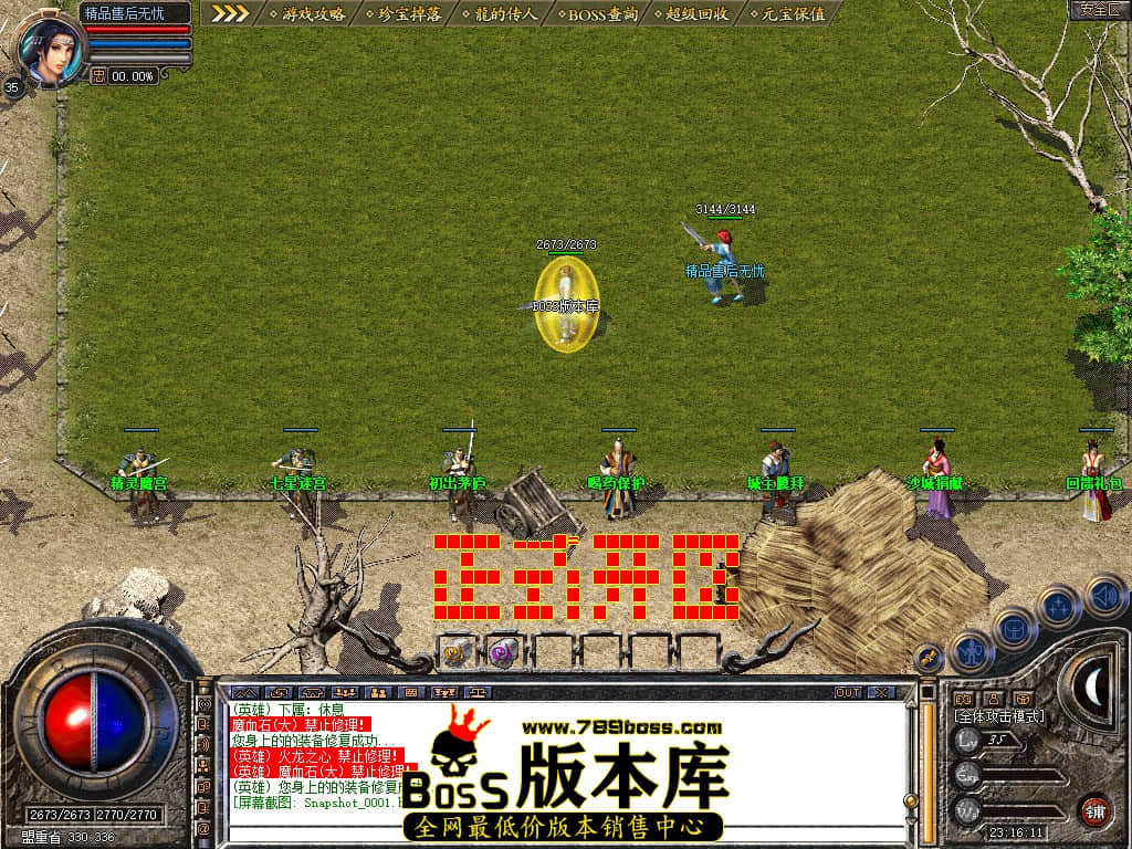 Snapshot_0002.JPG