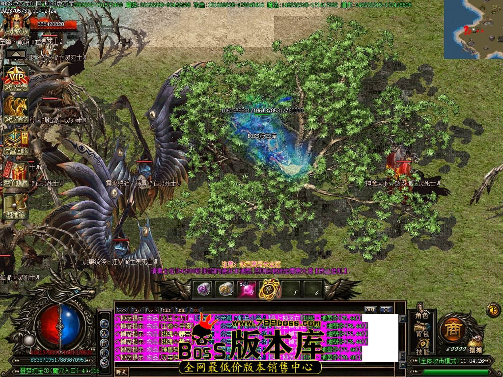Images95压缩后.JPG