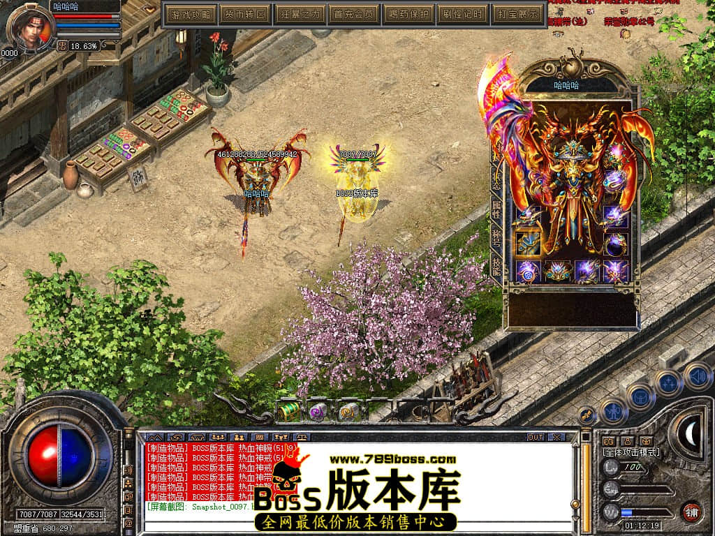Snapshot_0098.JPG