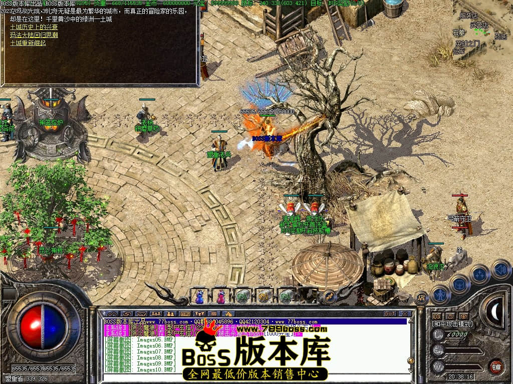 Images11压缩后.JPG