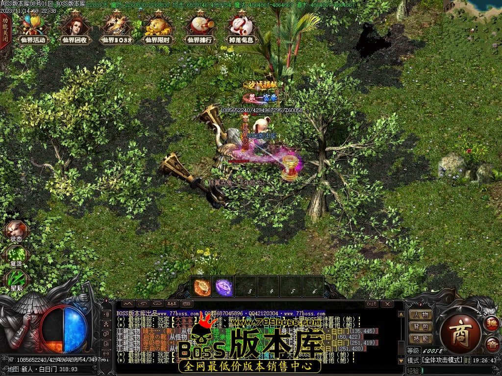 Images80压缩后.JPG