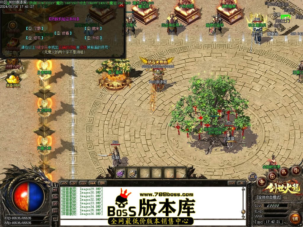 Images37压缩后.JPG