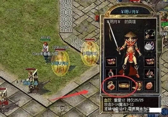 5.jpg