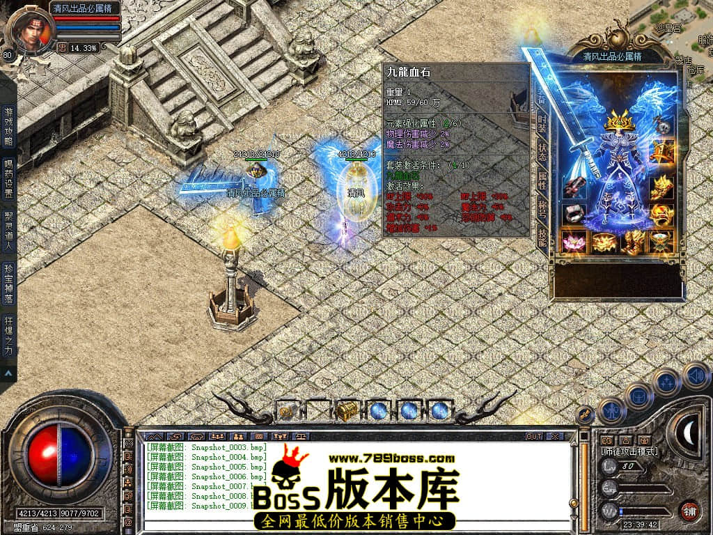 Snapshot_0010.JPG