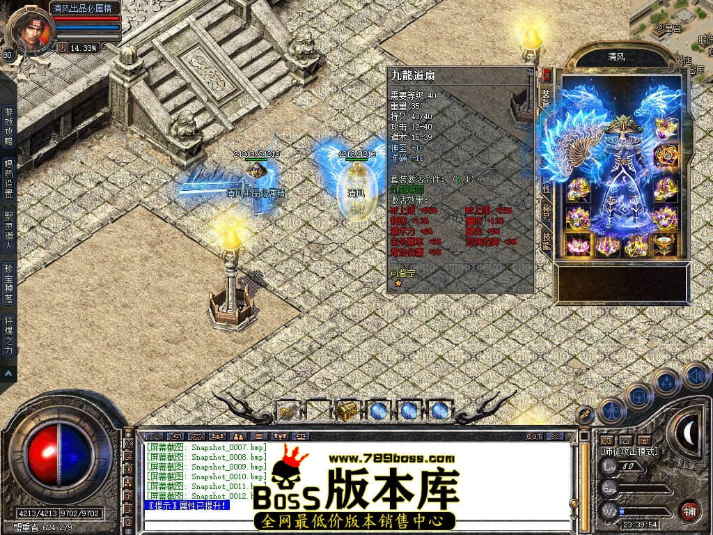 Snapshot_0013.JPG