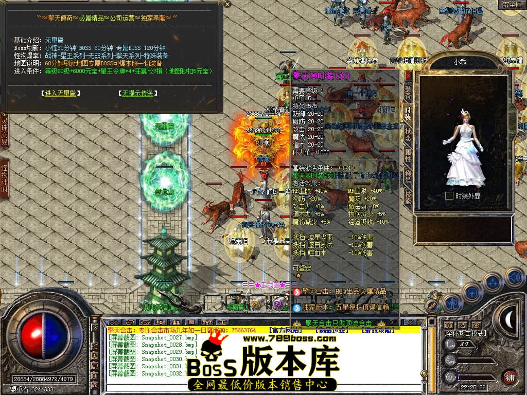Snapshot_0033.jpg