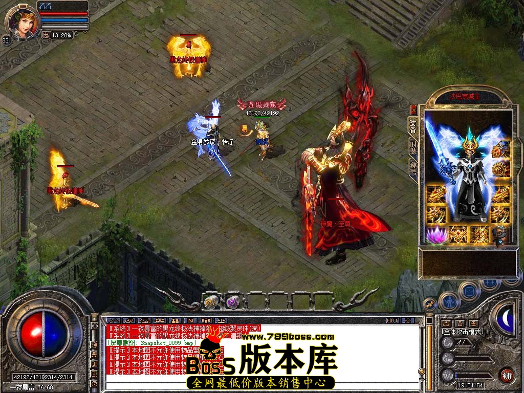 Snapshot_0100.jpg