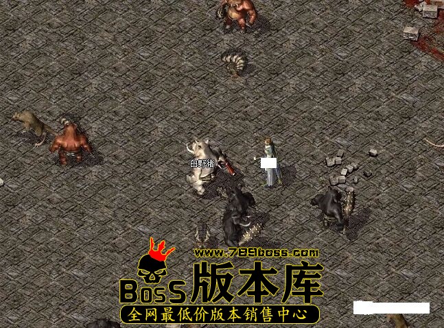 1.jpg