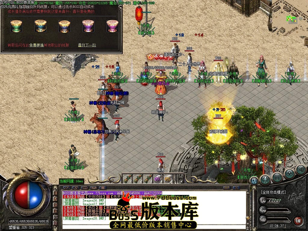 Images29压缩后.JPG