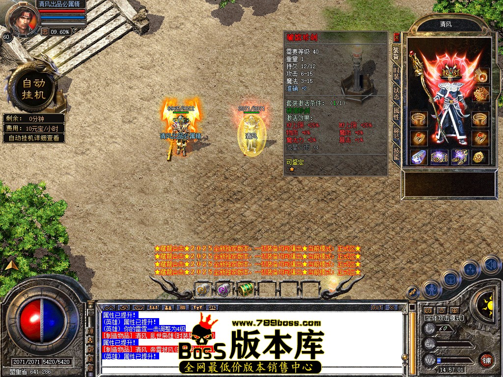 Snapshot_0010.jpg