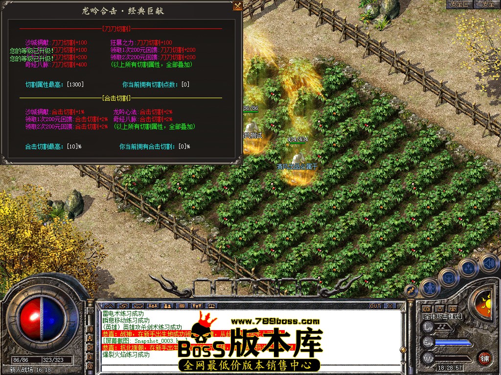 Snapshot_0004.jpg