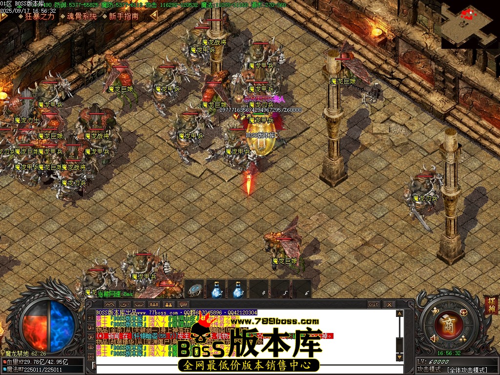 Images85压缩后.JPG