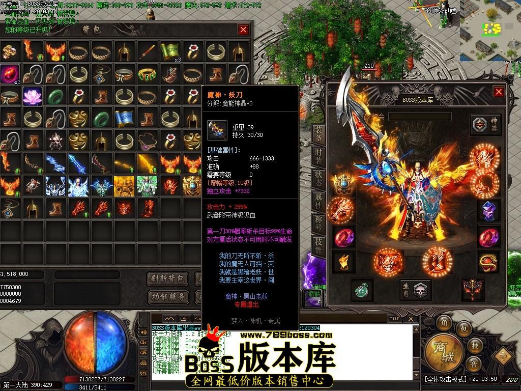 Images53压缩后.JPG