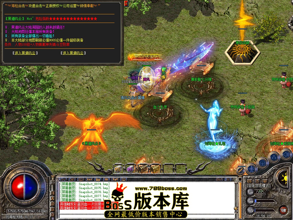 Snapshot_0079.jpg