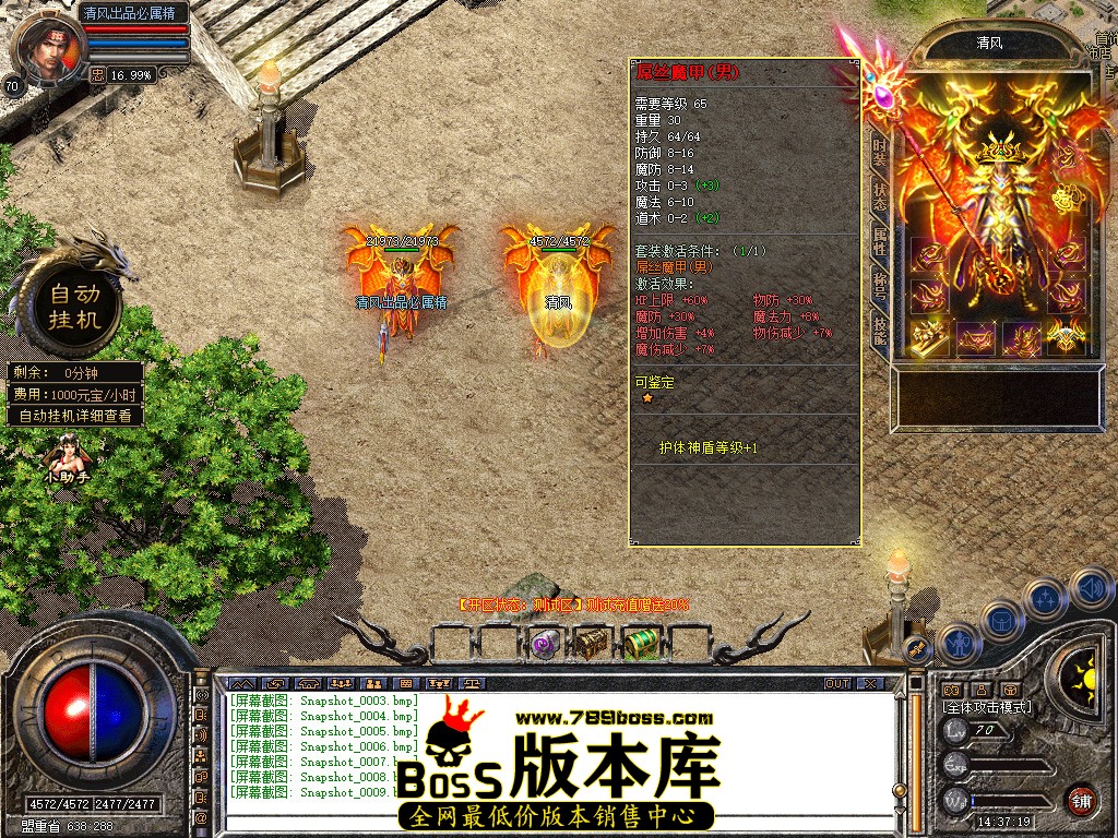 Snapshot_0010.jpg